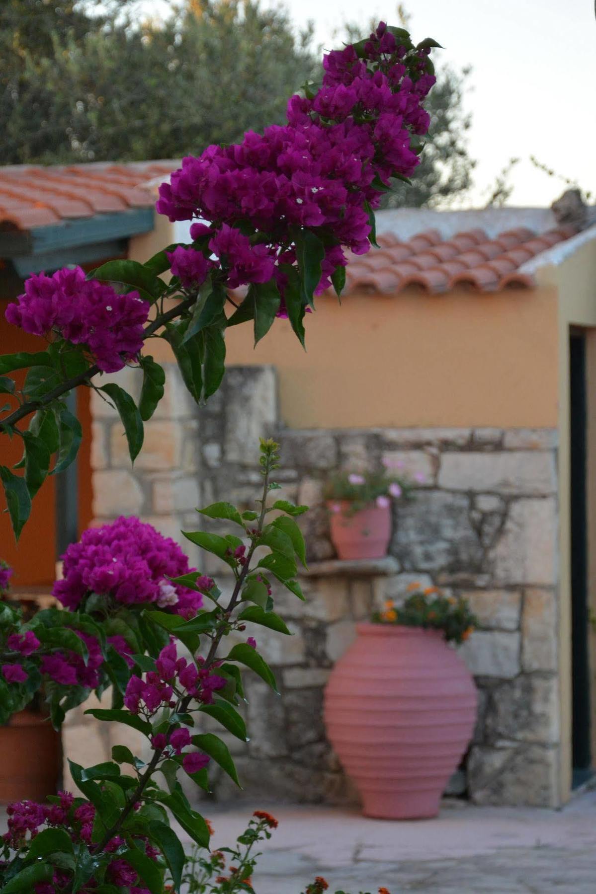 Villa Galini Episkopí- Rethimno Dış mekan fotoğraf